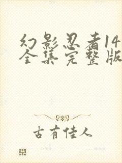 幻影忍者14季全集完整版