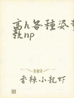 高h各种姿势调教np