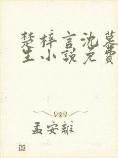 楚梓言沈慕寒重生小说免费阅读