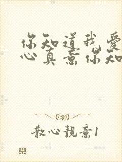 你知道我爱你真心真意你知道我永远都不放弃