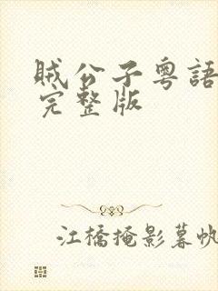 贼公子粤语高清完整版