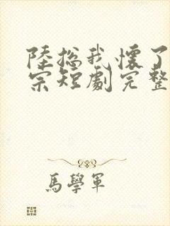 陆总我怀了小祖宗短剧完整版