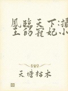 凤临天下:摄政王的宠妃小说小说