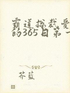 霸道总裁爱上我的365日第一季免费观看