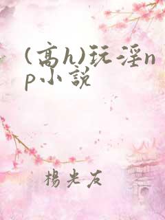 (高h)玩淫np小说