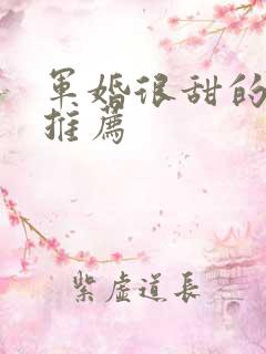 军婚很甜的小说推荐