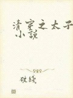 清穿之太子娇妃 小说