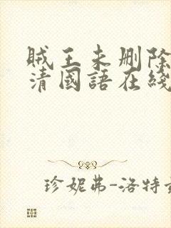 贼王未删除版高清国语在线观看