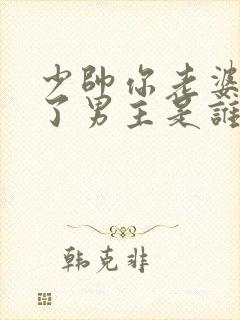 少帅你老婆又跑了男主是谁