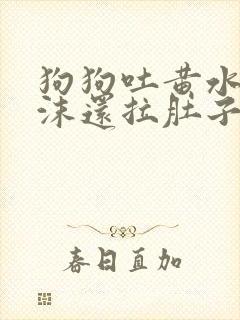 狗狗吐黄水带泡沫还拉肚子