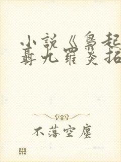 小说《枭起青壤聂九罗炎拓》