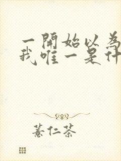 一开始以为你是我唯一是什么歌