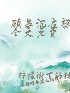 顾晏沉夜黎小说全文免费