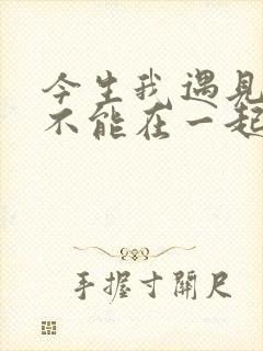 今生我遇见你却不能在一起是什么歌