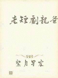 老短剧龙爸风云
