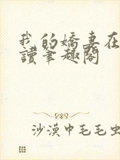 我的娇妻在线阅读笔趣阁