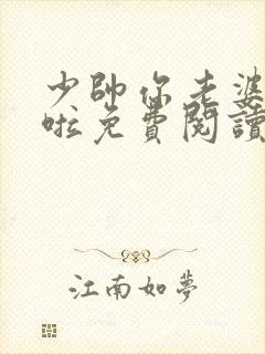 少帅你老婆又跑啦免费阅读