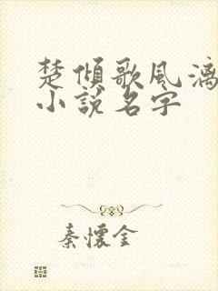 楚倾歌风漓夜的小说名字