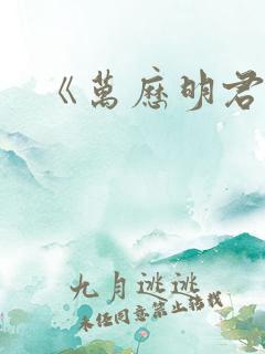 《万历明君》