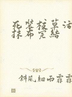 死装校草活该被抹布完结