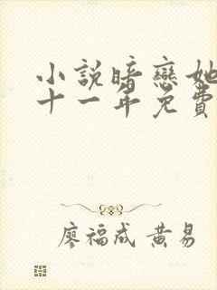 小说暗恋她的第十一年免费