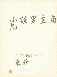 小说男主角叫叶凡