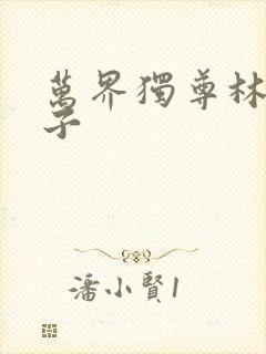 万界独尊林枫妻子