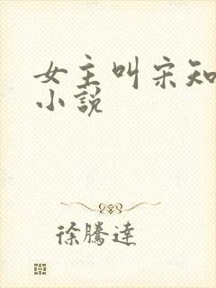 女主叫宋知鸢的小说