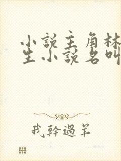 小说主角林天重生小说名叫什么