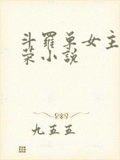 斗罗单女主宁荣荣小说