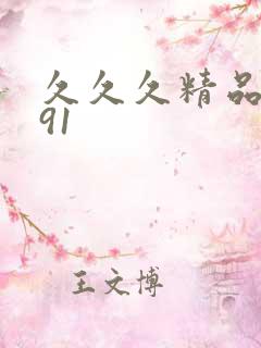 久久久精品国产91