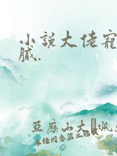 小说大佬宠妻不腻.