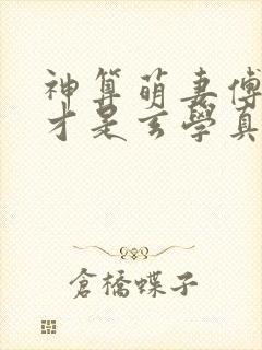 神算萌妻傅太太才是玄学真大佬更新