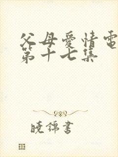 父母爱情电视剧第十七集