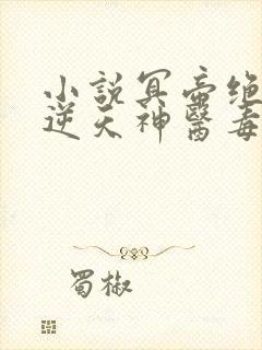 小说冥帝绝宠:逆天神医毒妃