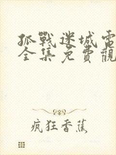 孤战迷城电视剧全集免费观看27集