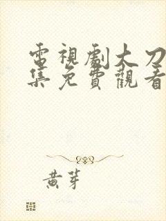 电视剧大刀记全集免费观看