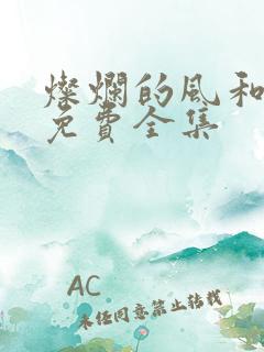 灿烂的风和海 免费全集