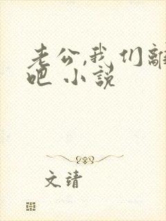 老公,我们离婚吧 小说