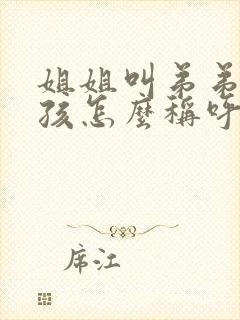 姐姐叫弟弟的小孩怎么称呼