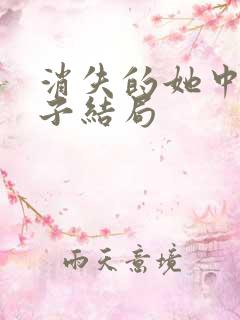 消失的她中李木子结局