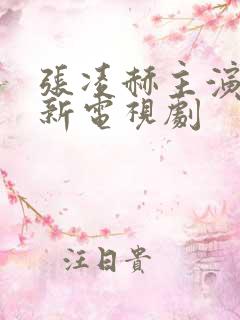 张凌赫主演的最新电视剧