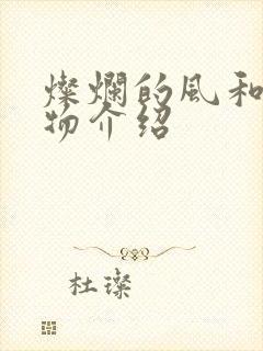 灿烂的风和海人物介绍