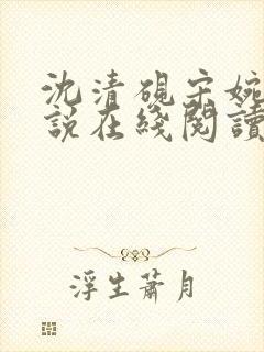 沈清砚宋婉莹小说在线阅读