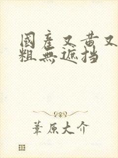 国产又黄又爽又粗无遮挡