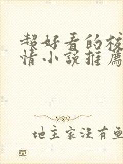 超好看的校园言情小说推荐