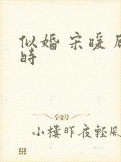 似婚 宋暖 顾时