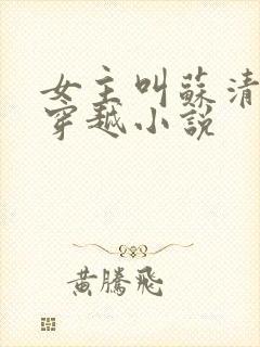 女主叫苏清雪的穿越小说
