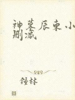 神墓辰东小说无删减