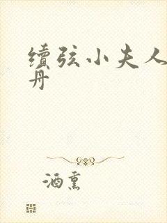 续弦小夫人江摇舟